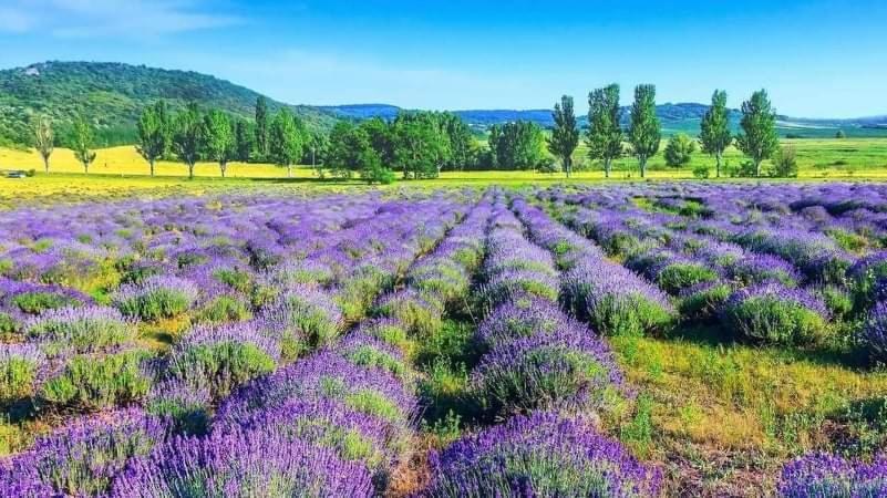 Legkondicionalt, Erkelyes Szoba, Privat Fuerdovel A Balatonon Kőröshegy Exteriör bild